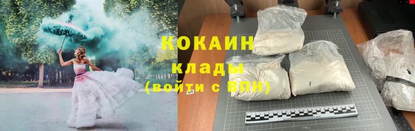 бошки Дмитров