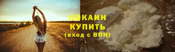 кристаллы Дмитриев