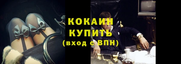 бошки Дмитров