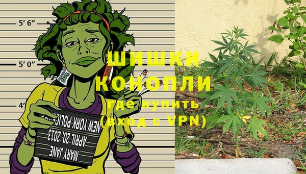 бошки Дмитров