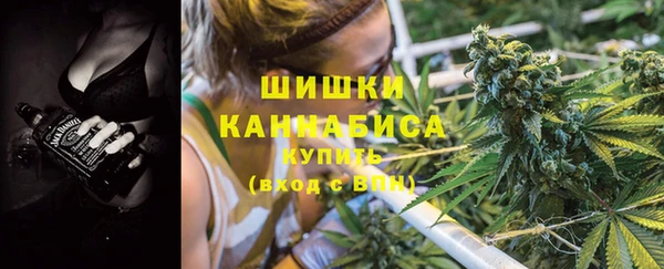 apvp Дмитровск