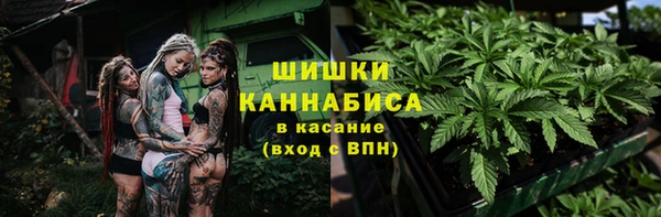 кристаллы Дмитриев