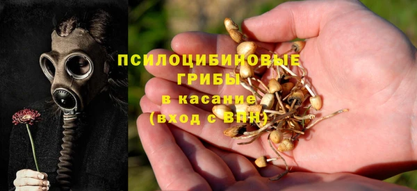 apvp Дмитровск