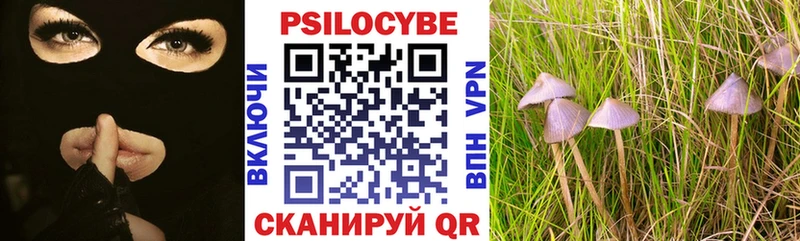 Купить закладки  Куровское  Псилоцибиновые грибы Magic Shrooms 